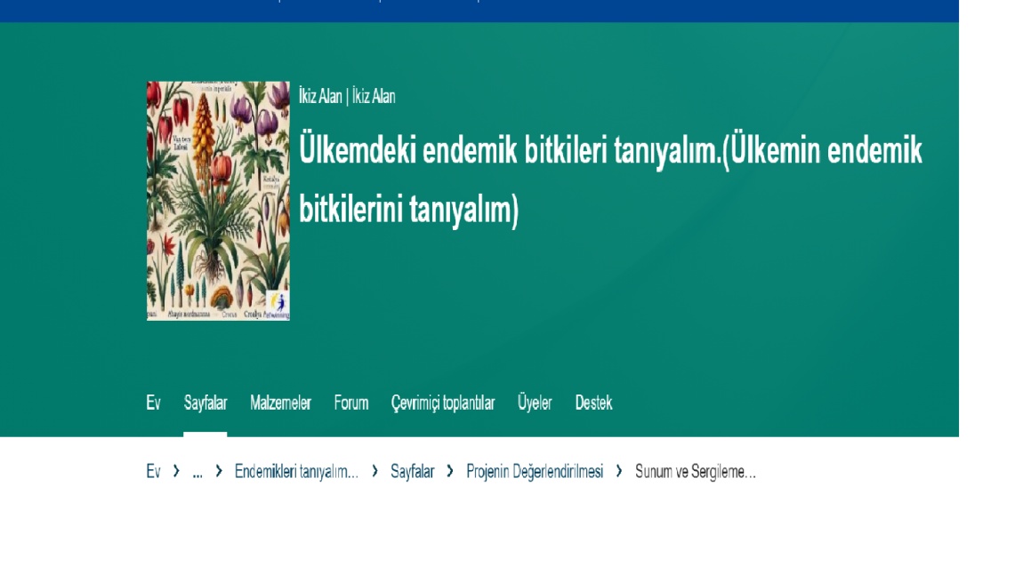 E TWİNNNG PROJEMİZ